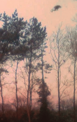 Eerified Catacomb : Silver Bridge in December - Apostasy from the Binds of the Tangible